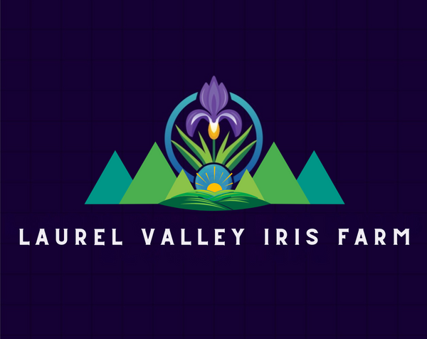Laurel Valley Iris Farm 